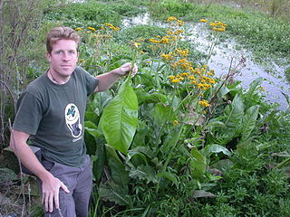 <span class="mw-page-title-main">Pieter B. Pelser</span> New Zealand botanist