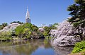 新宿御苑 Shinjuku Gyoen National Garden