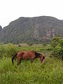 Viñales Valley