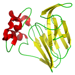 Thaumatin-I (Thaumatococcus danielli)