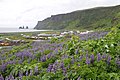 Vik-Reynisdrangar