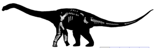 <i>Wintonotitan</i> Extinct genus of dinosaurs