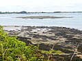 Parcs à huîtres sur la côte est près de Kerno.