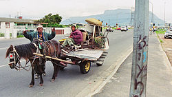 Cape Flats scrap collectors Cape-flats-scrap-collectors.jpg