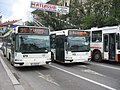 Auch in Rumänien benötigen Obusse keine Kenn­zeichen, …