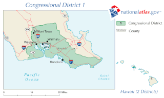 <span class="mw-page-title-main">2010 Hawaii's 1st congressional district special election</span>