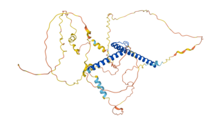 <span class="mw-page-title-main">N-Myc</span> Protein-coding gene in the species Homo sapiens