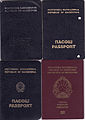 Passports (pre-2019) through the years: First generation passport (post-independence) (top left), second generation (top right), third generation (bottom left), and fourth generation passport (bottom right).