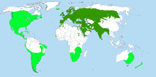 Voir texte pour la répartition mondiale