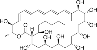 <span class="mw-page-title-main">Pentamycin</span> Chemical compound