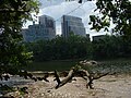 Rosslyn sjoen fan Theodore Roosevelt Island yn de Potomac ôf