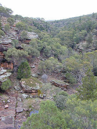 <span class="mw-page-title-main">Cocoparra National Park</span> Protected area in New South Wales, Australia