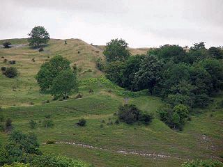 <span class="mw-page-title-main">Dolebury Warren</span> Hillfort in North Somerset