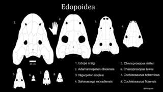 <i>Adamanterpeton</i> Extinct genus of temnospondyls