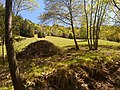 Monte Camiolo di Cima, fondo Olva