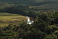 Vegetación en la Gran Sabana