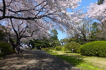 理学系研究科附属植物園