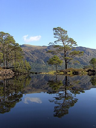 <span class="mw-page-title-main">Eilean Ruairidh Mòr</span>