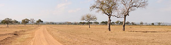 Mikumi National Park panorama