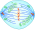 Mitotic Metaphase.svg