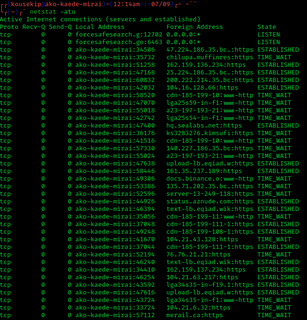 netstat Command line network statistics tool