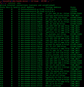 netstat Command line network statistics tool