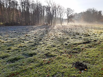 Rombergpark in Dortmund