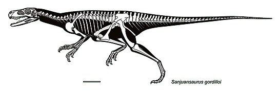 June 9: skeletal reconstruction of the dinosaur Sanjuansaurus gordilloi