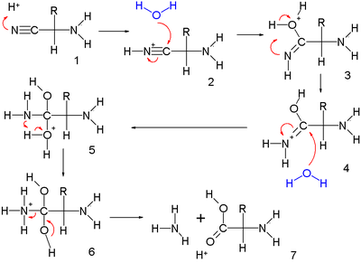 Strecker synthesis part I