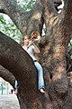 Trombonist in tree