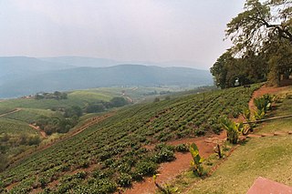 <span class="mw-page-title-main">Tzaneen</span> Town in Limpopo, South Africa