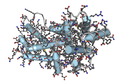 Bovine Interferon Gamma