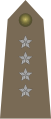 Kapitan[13] (Polish Land Forces)