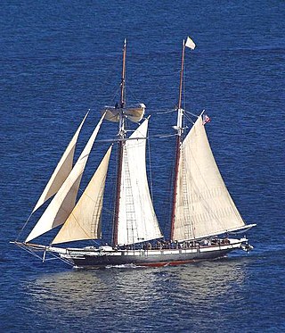 <span class="mw-page-title-main">Baltimore Clipper</span> Type of fast sailing vessel