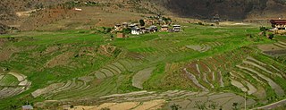 <span class="mw-page-title-main">Agriculture in Bhutan</span>