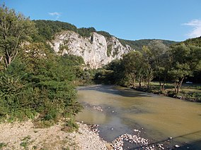 Imagine din sit (Defileul Crișului Repede)