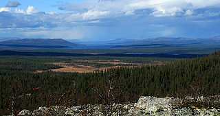 <span class="mw-page-title-main">Engerdal</span> Municipality in Innlandet, Norway