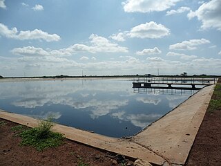 <span class="mw-page-title-main">Facultative lagoon</span>