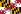 Flag of Maryland.svg