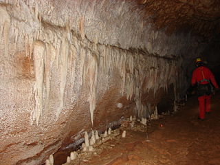 <span class="mw-page-title-main">Blanche Cave</span> Cave in South Australia