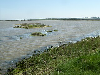 <span class="mw-page-title-main">Suffolk Wildlife Trust</span>