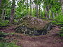 Vandreblok i Žemaitija nationalpark