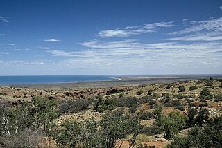 <span class="mw-page-title-main">Ningaloo Coast</span> Coral reef in Western Australia