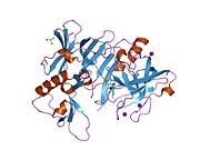 PDB 2ohn EBI.jpg