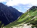 Zona dos Arbustos: Pinus mugo no Parque Nacional polônes da Serra do Tatra.