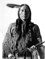 Arapaho, porodica Algonquian