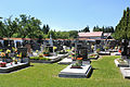 Čeština: Hřbitov v Sebranicích English: Cemetery in Sebranice, Czech Republic