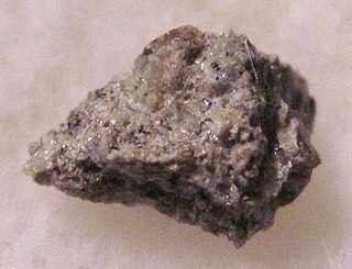 Shergotty meteorite