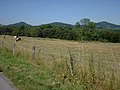 Ansicht des Siebengebirges mit den Bergen Löwenburg, Lohrberg und Ölberg (v.l.n.r.)