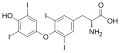 Thyroxine